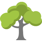 Lehi Tree Trimming