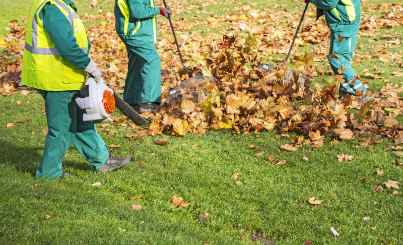 Leaf Blowing for Cleanup